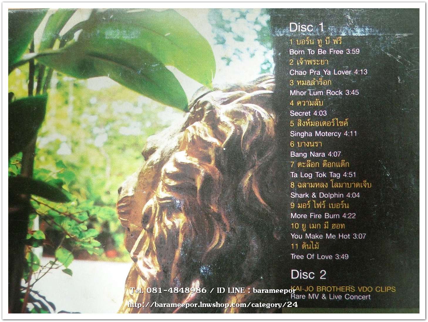 ไค-โจ- บราเธอร์ส ชุด Born To Be Free 2 dise