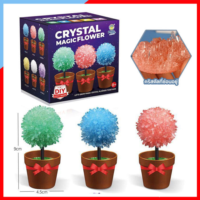 VB071 ชุดทดลองวิทยาศาสตร์ ของเล่น DIY ชุดทดลองทำดอกไม้คริสตัล Cristal Magic Flower STEAM ของเล่นวิทยาศาสตร์ ของเล่นเสริมพัฒนาก071 ชุดทดลองวิทยาศาสตร์