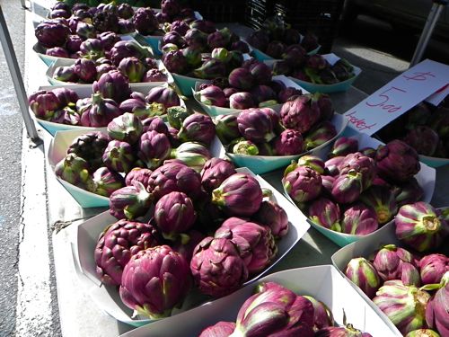 อาติโช้ค สีม่วง - Purple artichoke