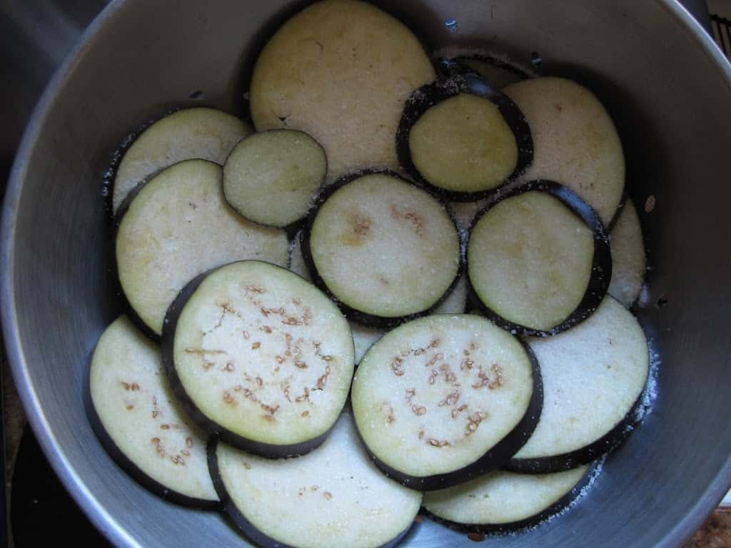 มะเขือม่วงญี่ปุ่น มิโตโย - Mitoya Eggplant