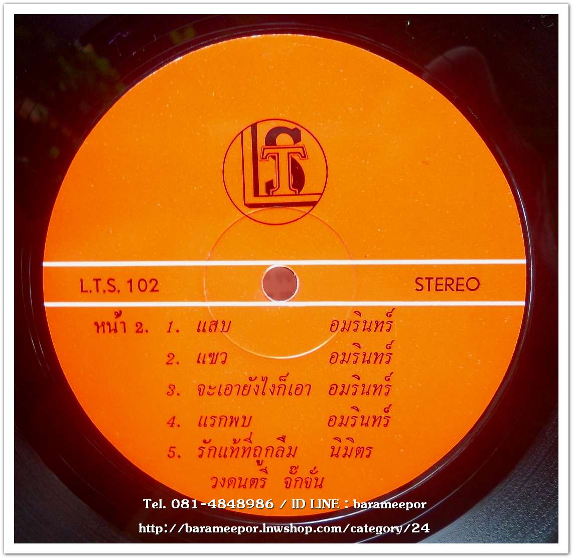 วงจั๊กจั่น ชุด นกไร้รัง