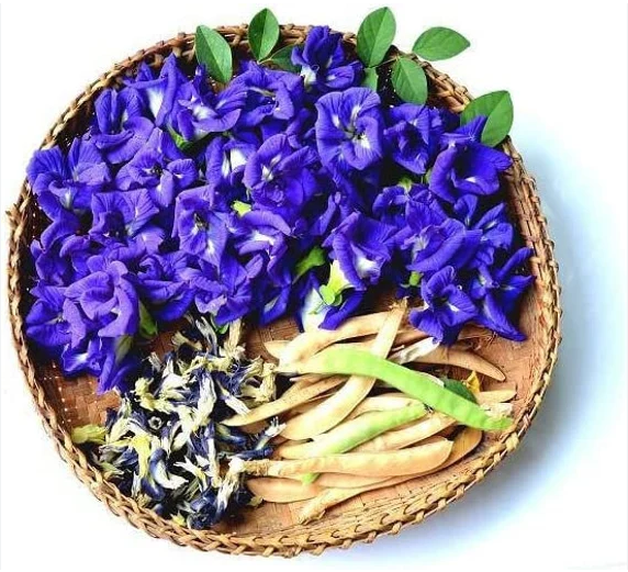 เมล็ดพันธุ์ ดอกอัญชัน สีม่วงกลีบซ้อน 4-5 ชั้น Purple Double Butterfly Pea Seed