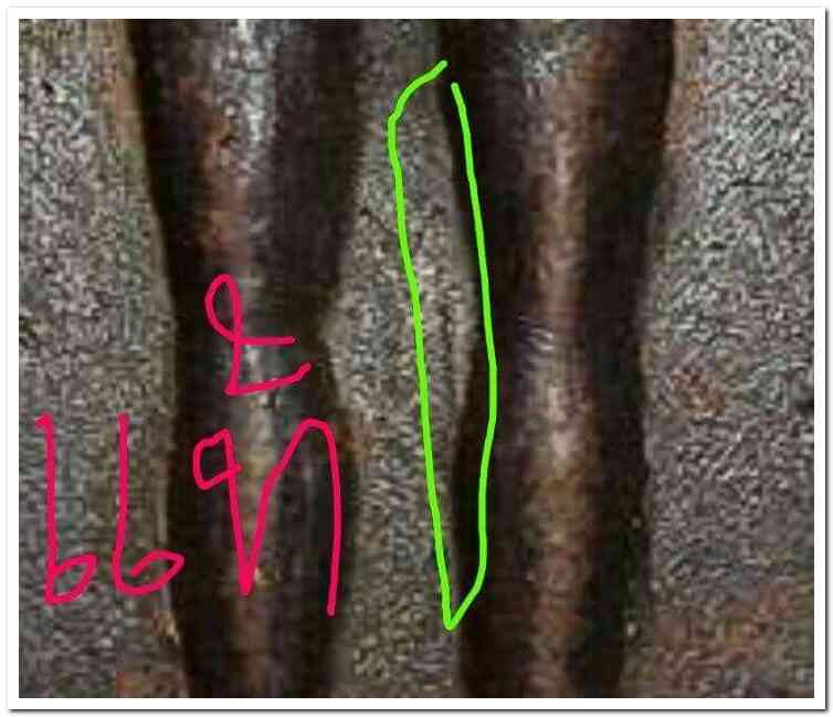 A ไอ้ไข่ ของเก๊ มีออกมาทุกรุ่น จนถึงสรงน้ำ 63 ลองศึกษาเป็นแนวทาง