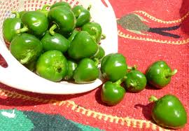 (Whole 1 Oz) พริกเชอรี่เผ็ด - Large Red Hot Cherry Papper