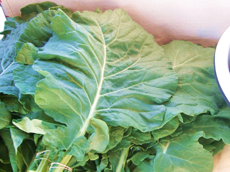 ปูเล่ฝรั่ง จอร์เจีย - Georgia Southern Collards