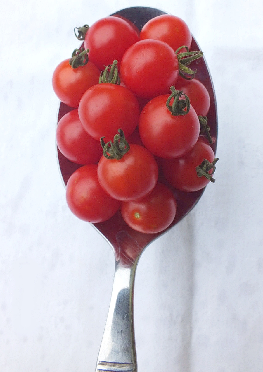 มะเขือเทศสะพูน เล็กสุดในโลก - Spoon Tomato