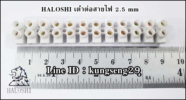 HALOSHI เต๋าต่อสายไฟ 2.5 mm (เส้น)