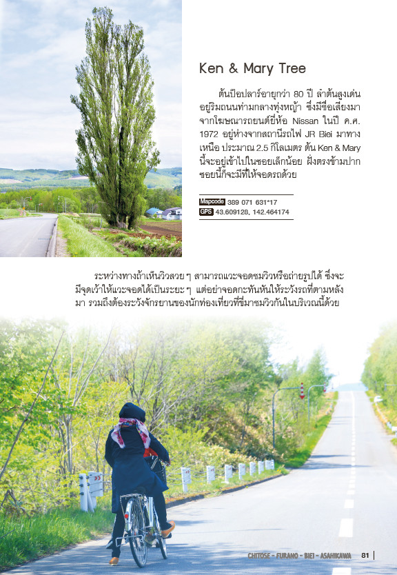 ขับรถเที่ยว ฮอกไกโด