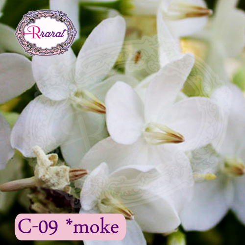 กำยานหอม กลิ่น ดอกโมก (Moke).. 500g.