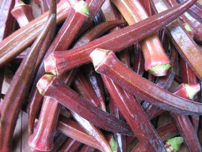 กระเจี๊ยบ เบอร์กันดี - Burgundy Okra