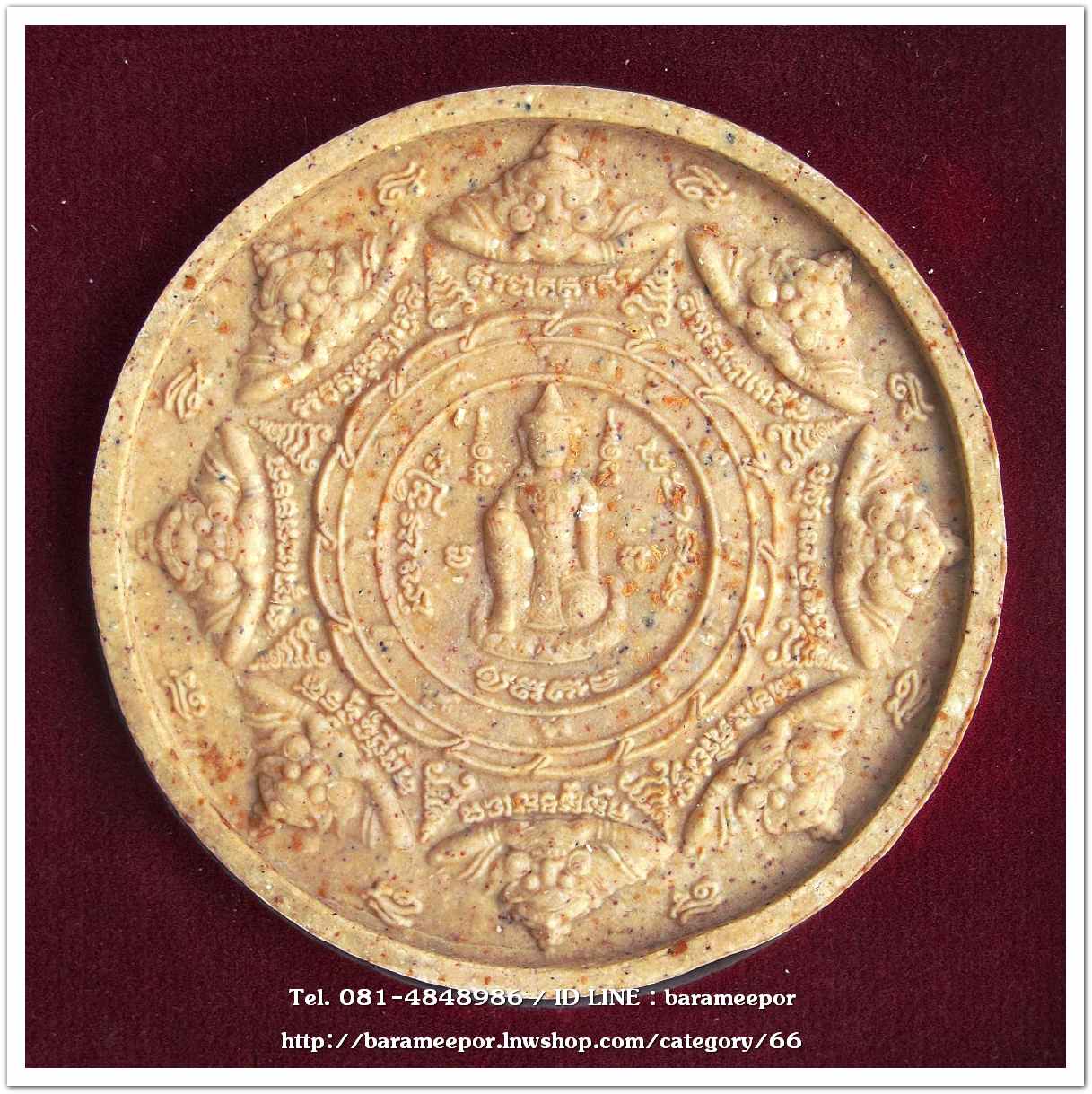 ว่านกลม ขุนพันธ์ มือปราบสิบทิศ เนื้อว่านขาว ขนาด 5 ซม...2