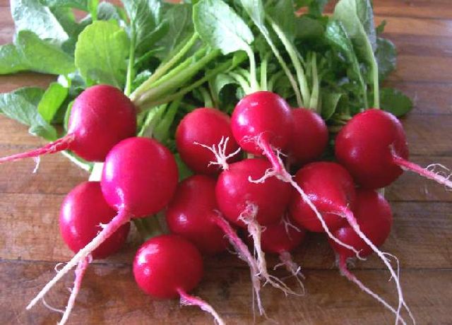 (Whole 1 Oz) เรดิชเชอรี่ - Cherry Belle Radish