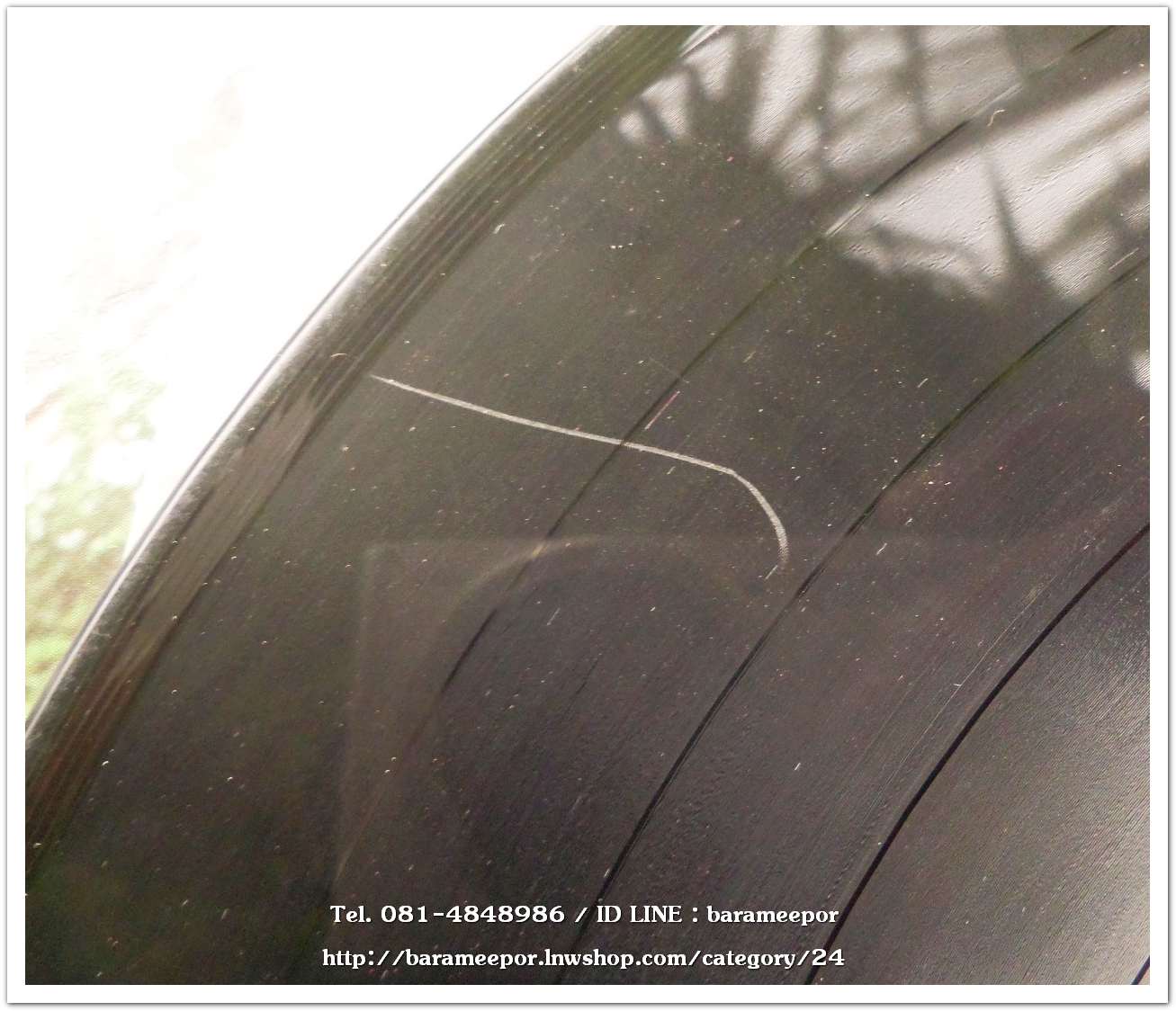 แจ่มศรี มีสวัสดิ์ ชุด ลูกทุ่งบัณฑิต