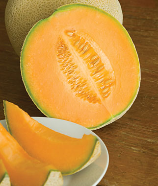 แคนตาลูปอิโลกลัว - Iroquois Cantaloupe