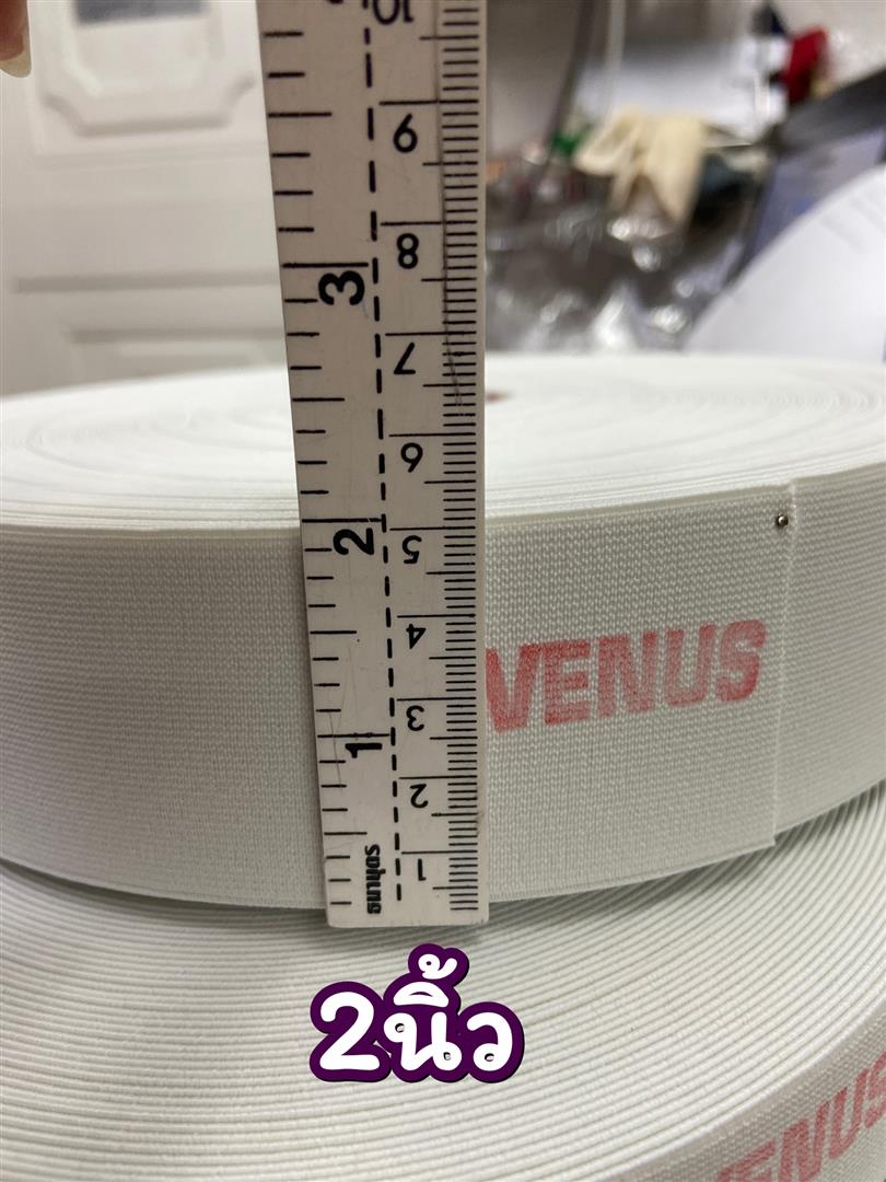 ยางยืด วีนัส Venus (2นิ้ว) ขาว และดำ