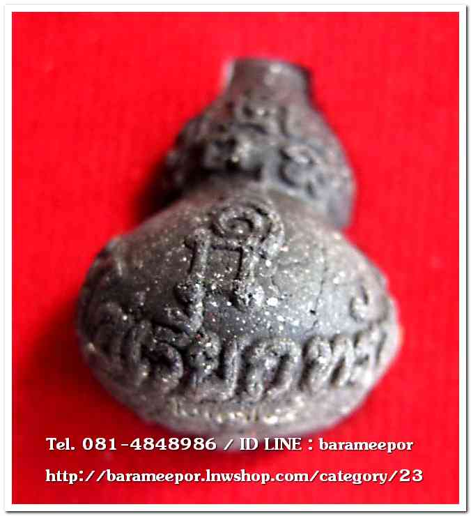 น้ำเต้าไอ้ไข่เรียกทรัพย์ เนื้อว่านกากยายักษ์ (พิมพ์ใหญ่) เลข 278