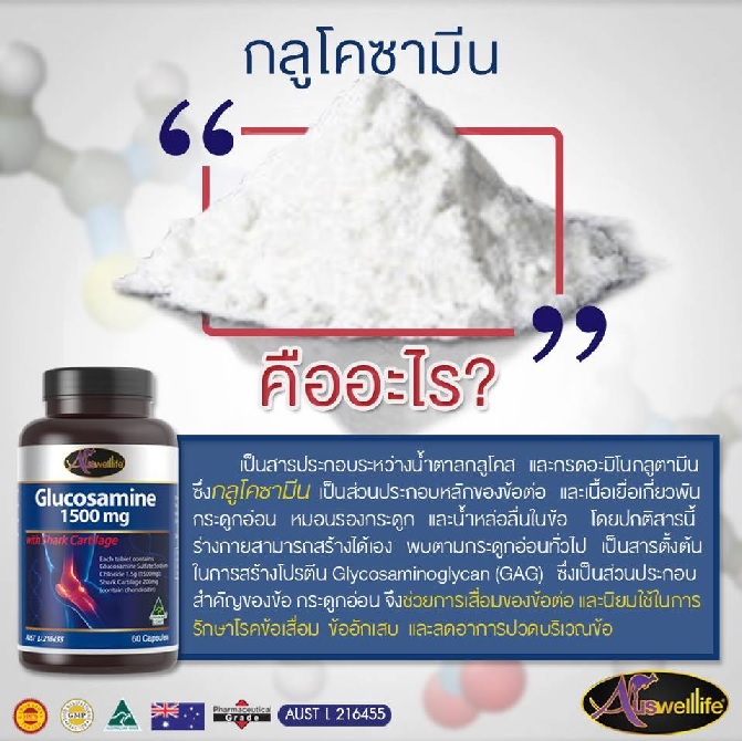 กลูโคซามีน คืออะไร