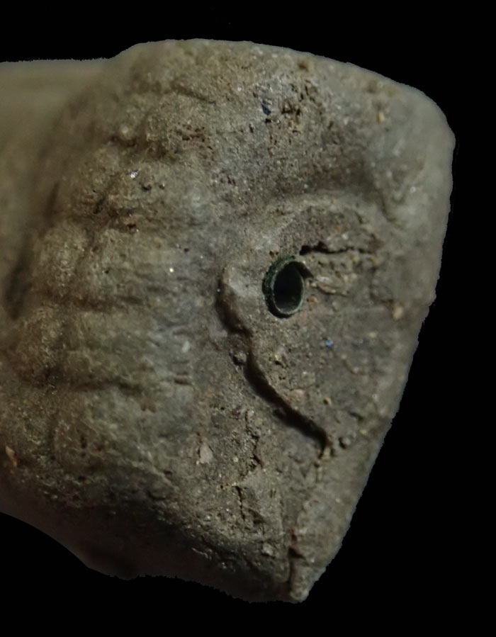 หลวงพ่อทวดเนื้อว่านดินกากยายักษ์ พิมพ์พระรอด ฝังตะกรุดเงิน (หลังตราแผ่นดิน) อาจารย์ทอง วัดสำเภาเชย ปี 2551 รุ่นพิทักษ์แผ่นดิน