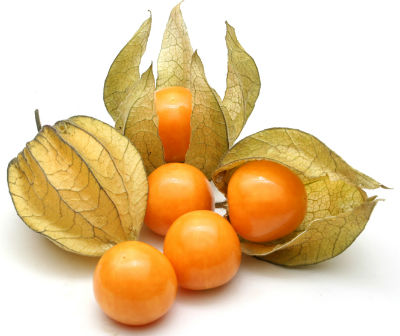แคปกูสเบอรี่ - Cape gooseberry