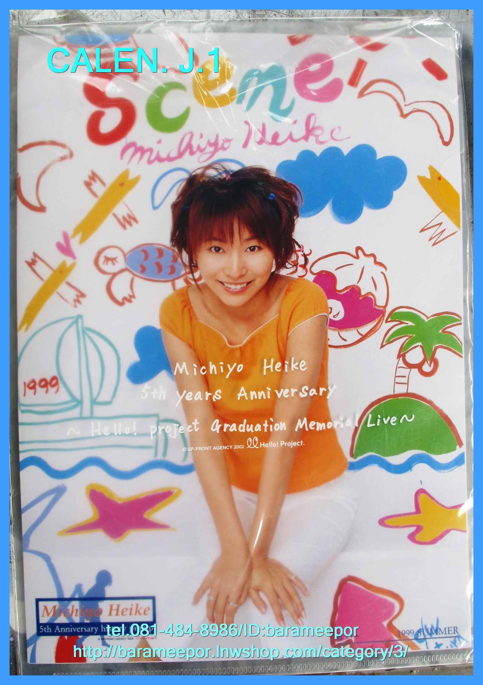 รูปภาพปฎิทิน 1990 นักร้องญี่ปุ่น Michiyo Heike ขนาด A4 จำนวน 12 ใบ
