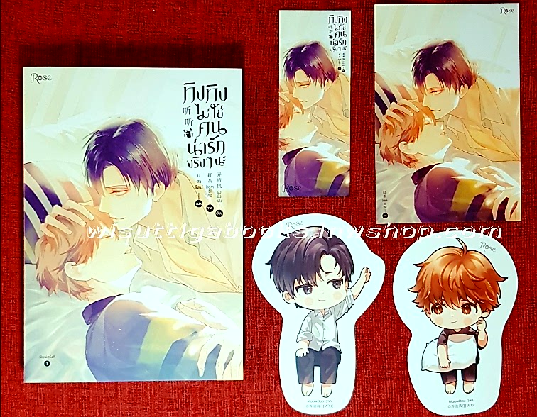 ทิงทิงไม่ใช่คนน่ารักจริงๆ นะ : น่งชิงเฟิง ผู้เขียน, แปล