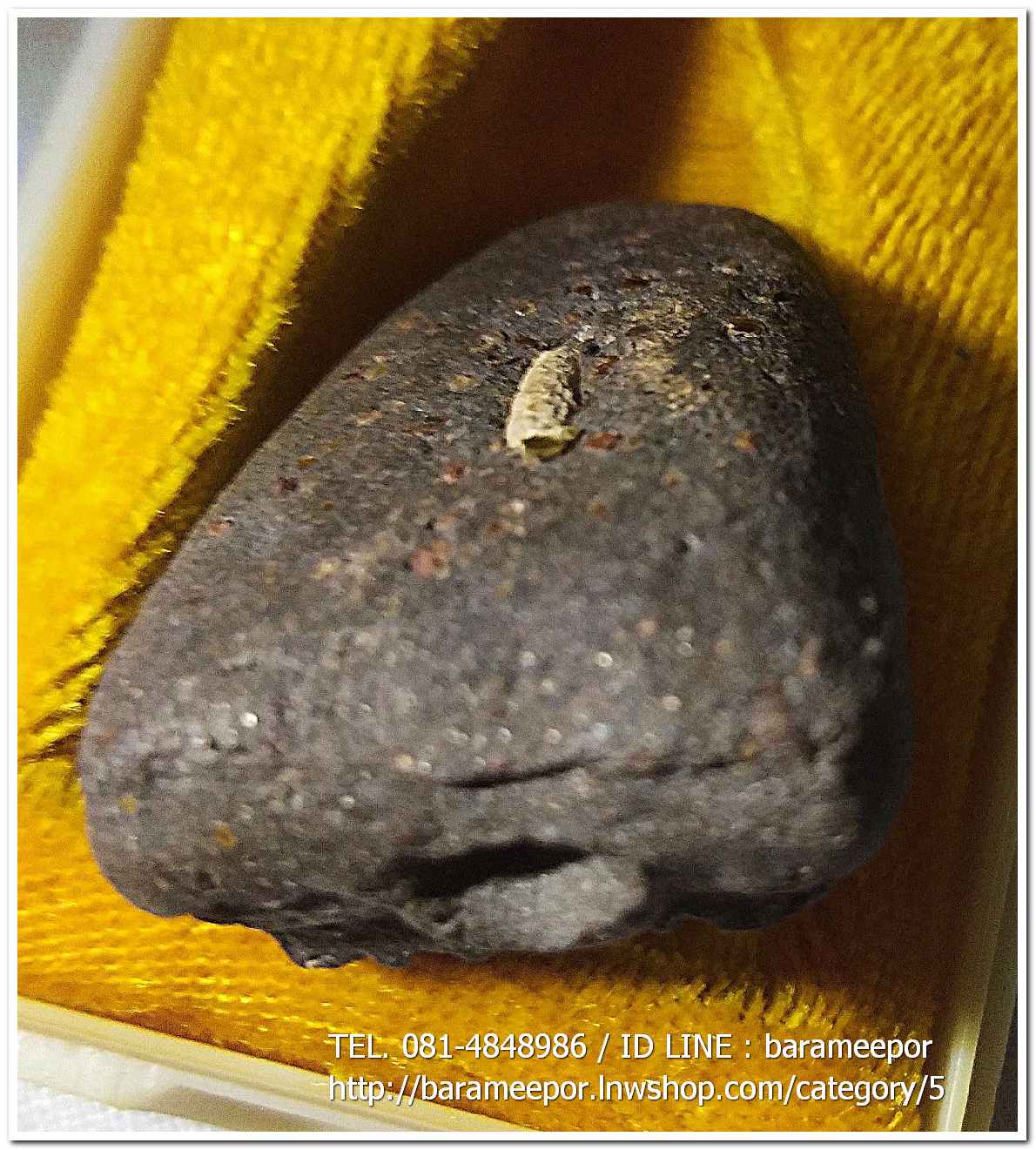 หลวงพ่อทวด พิมพ์ใหญ่ เนื้อว่านดำ หลังข้าวสารหิน รุ่นปาฏิหาริย์ วัดห้วยมงคล..1