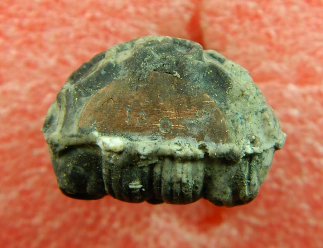 พระปิดตายันต์ยุ่งรวยทันใจ (รุ่นแรก) หลวงปู่แสน ปสันโน วัดหนองจิก จ.ศรีษะเกษ เนื้อผงเหล็กน้ำพี้ผสมงาช้าง