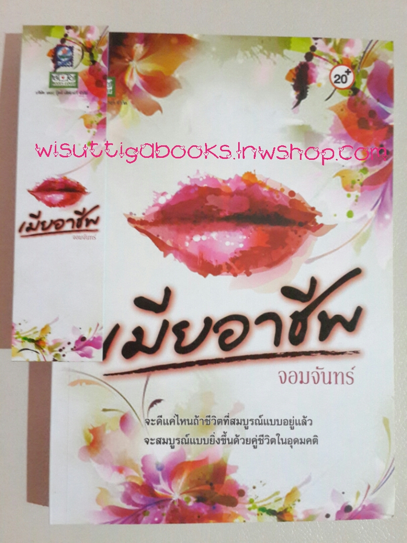 เมียอาชีพ โดย จอมจันทร์