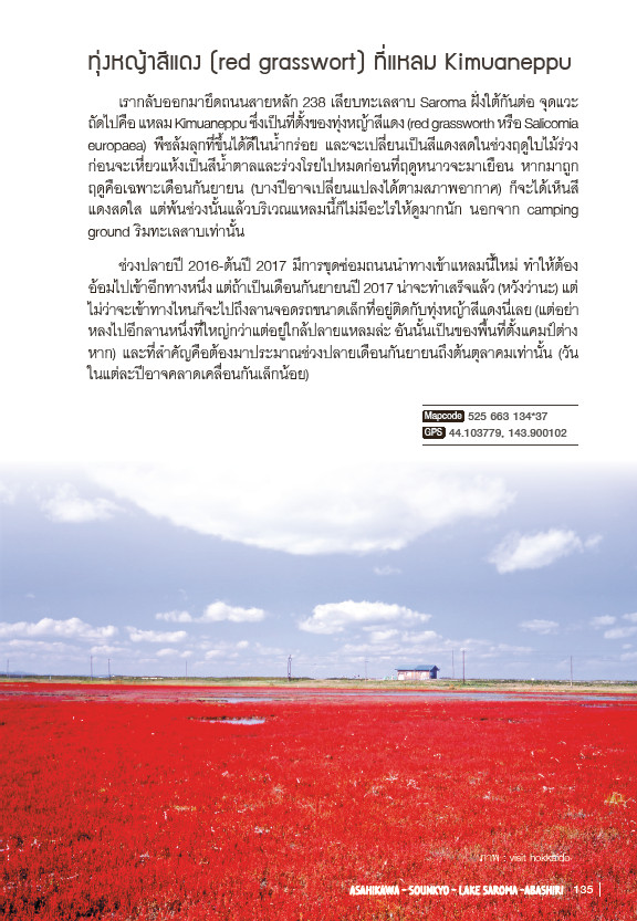 ขับรถเที่ยว ฮอกไกโด