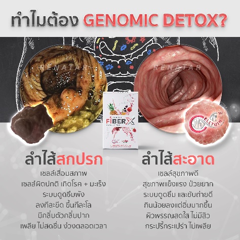 RENATAR FIBER X ดีไหม เรนาต้า ไฟเบอร์ เอ็กซ์ ดีไหม