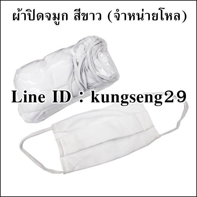 ผ้าปิดจมูก สีขาว (โหล)