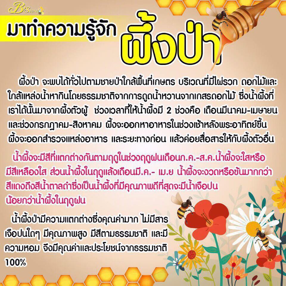 Forest Honey Bee Cream By B'secret 15 g. ครีมน้ำผึ้งป่า ศาสตร์แห่งการฟื้นฟูบำรุงผิวที่ดีที่สุด