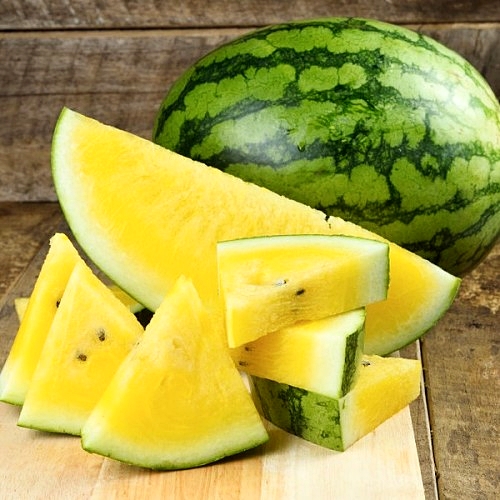 แตงโม โกลเด้นฮันนี่ - Golden Honey Watermelon