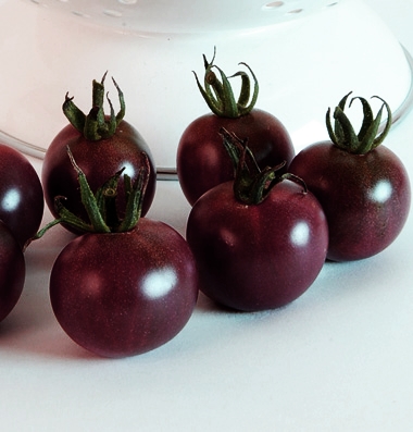 มะเขือเทศเชอรี่สีดำ - Black Cherry Tomato