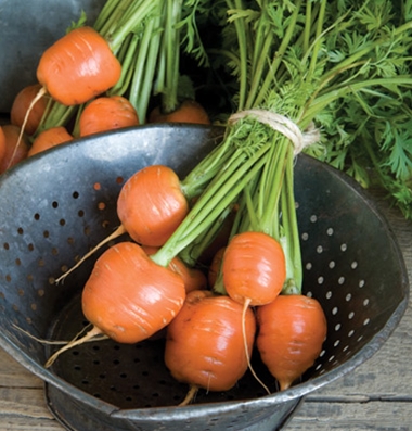 (Whole 1 Oz) แครอทกลม ปาริเซียน - Parisian Carrot