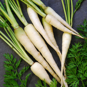 (Whole 1 Oz) แครอทสีขาว - Lunar White Carrot