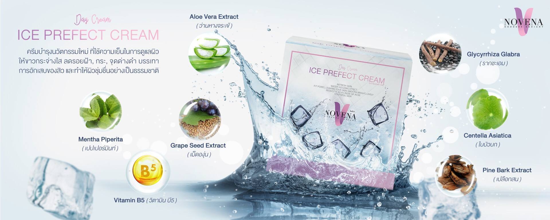 Ice perfect cream By Novena ครีมน้ำแข็ง (ครีมบำรุงกลางวัน)