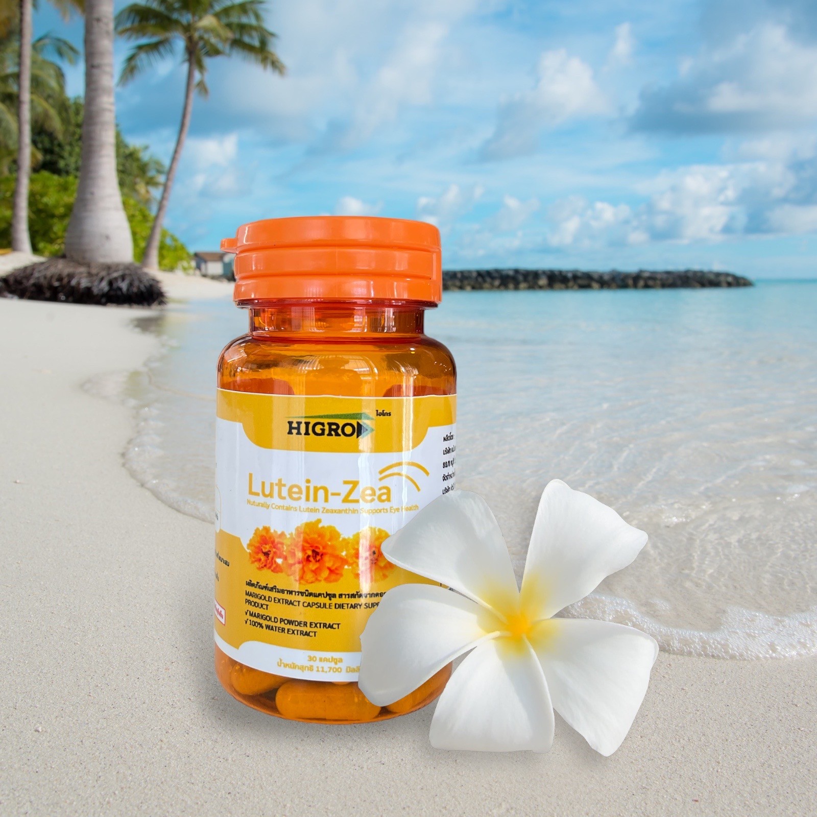 46-172-1100-1 สารสกัดดอกดาวเรือง 30VCAP