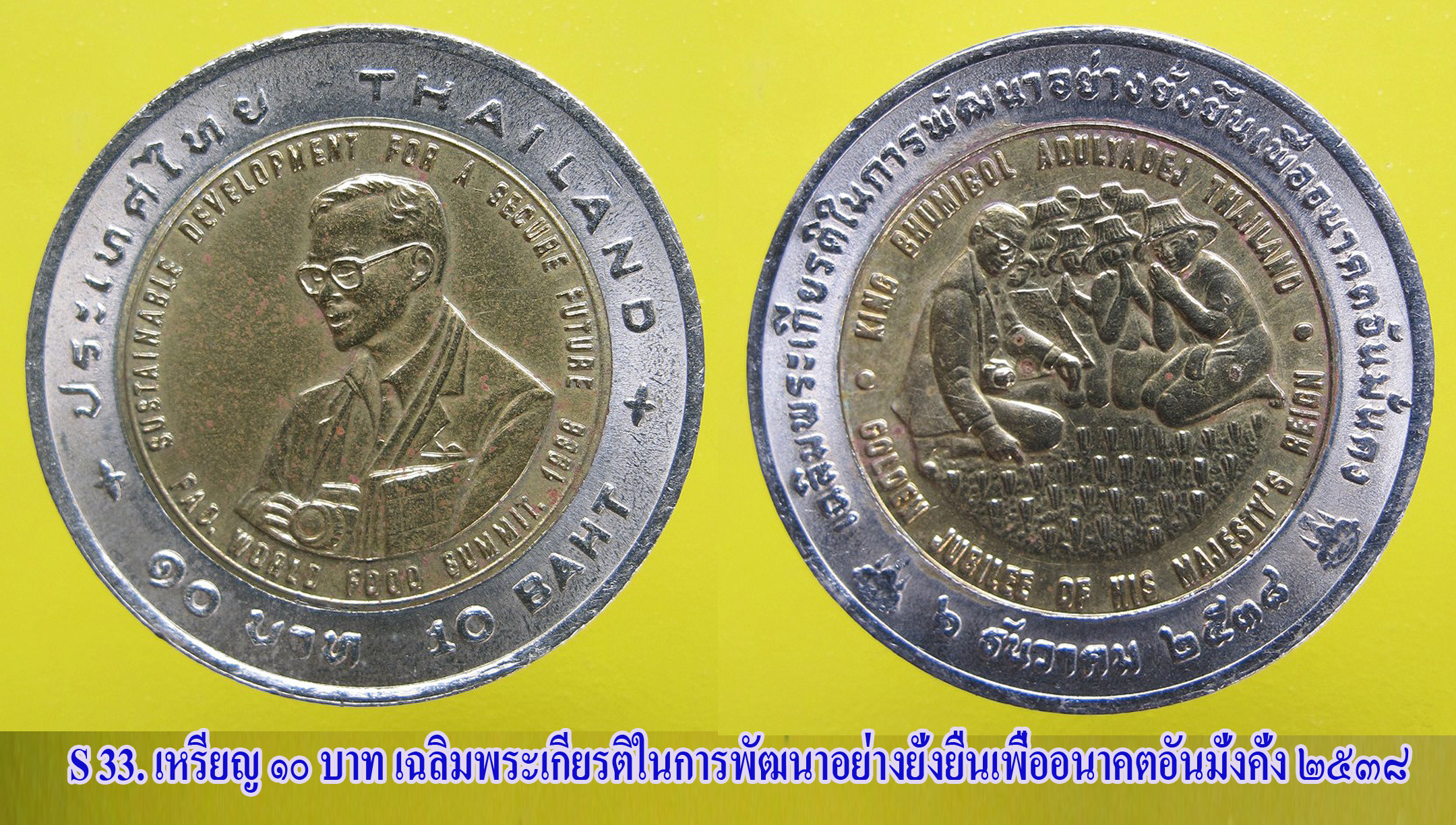 เหรียญ ชนิดราคา ๑๐ บาท สอดไส้ ๒ สี เฉลิมพระเกียรติในการพัฒนาอย่างยั่งยืนเพื่ออนาคตอันมั่งคั่ง ปี ๒๕๓๘