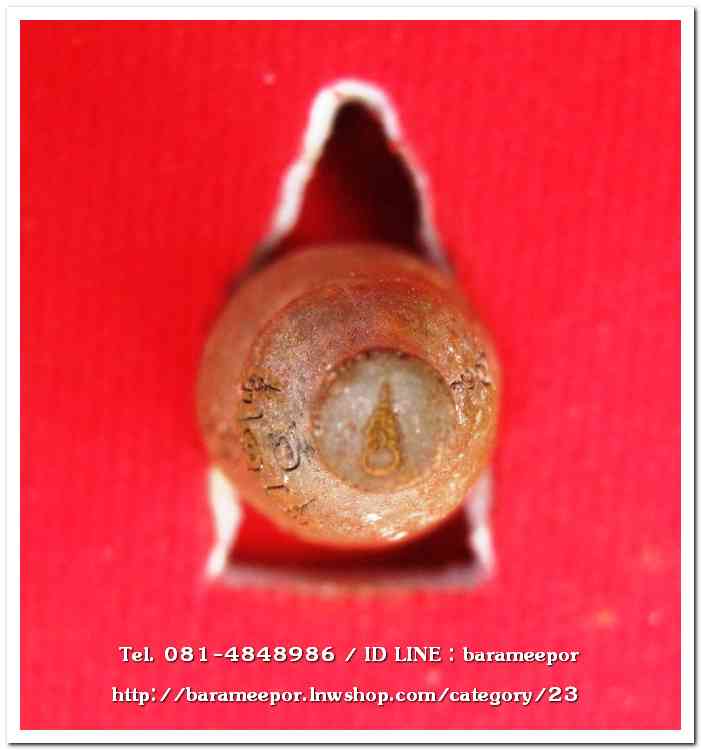 น้ำเต้าไอ้ไข่เรียกทรัพย์ พิธีพุทธาภิเษกสรงน้ำ 63 วัดเจดีย์ เนื้อทองผสมสูตรโบราณ (พิมพ์เล็ก)