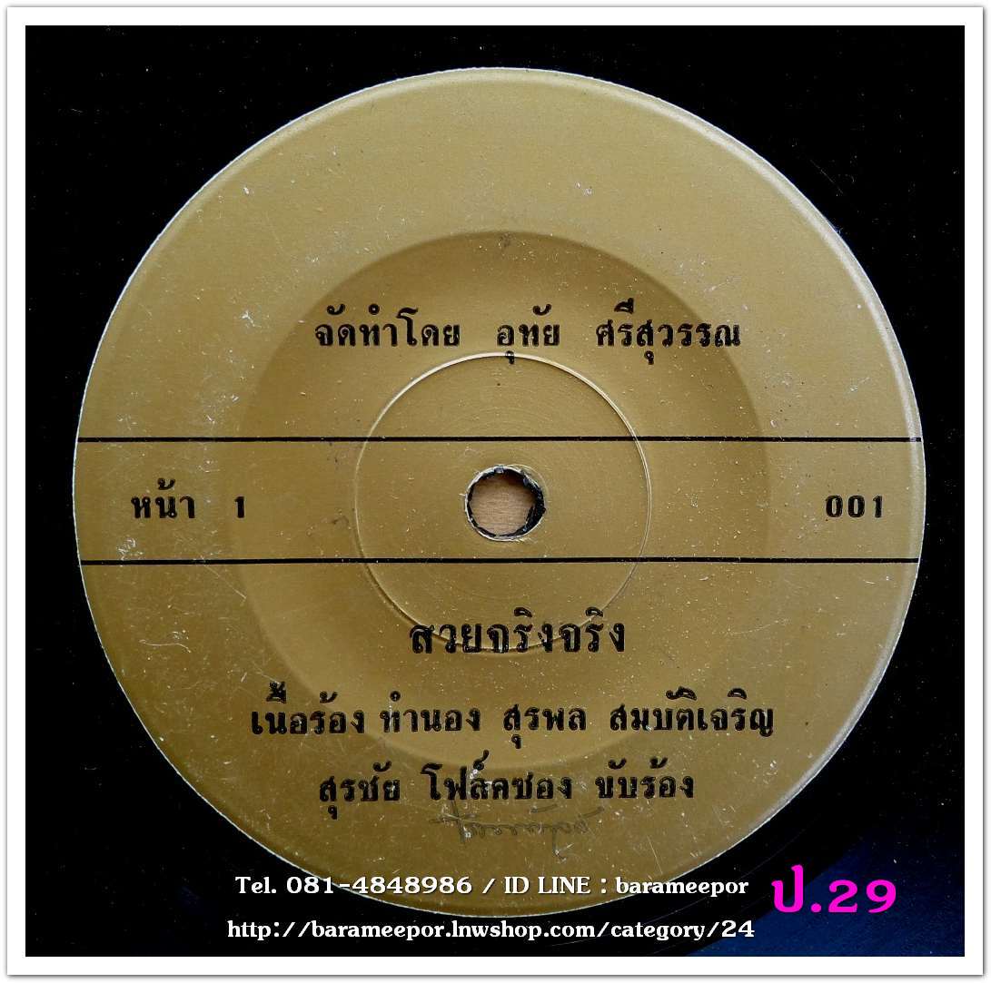 สุรชัย โฟล์คซอง สวยจริงจริง ป่าซาง