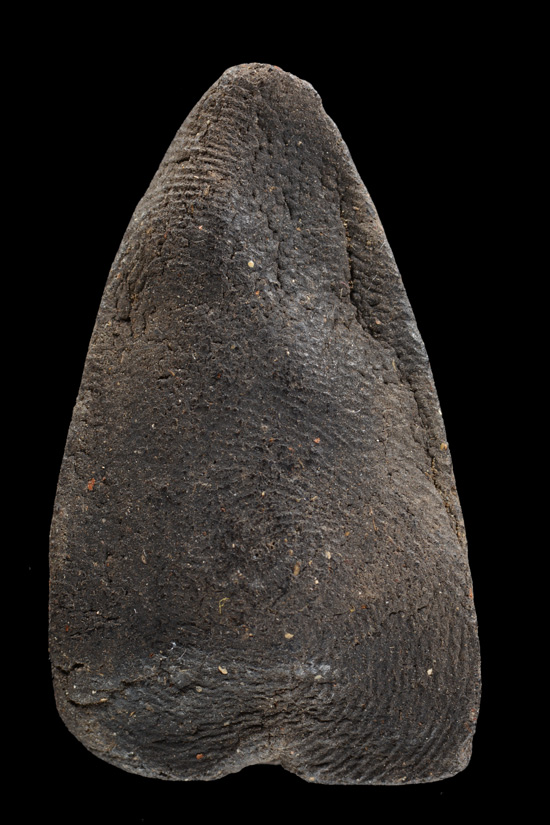 หลวงพ่อทวดเนื้อว่าน พิมพ์ใหญ่ วัดนาประดู่ พ.ศ. 2535