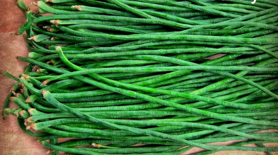 ถั่วฝักยาวใส้ตัน - Green Long Cowpea