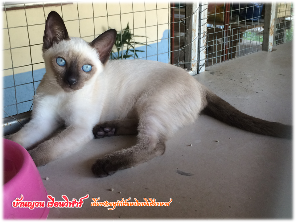 เจ้าจันทร์