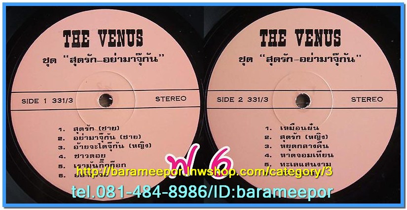 C1-118 แผ่นเสียง เพลงไทยสตริงเก่า สภาพสวย แผ่นสะสม ส่วนใหญ่ไม่เคยลงเข็ม เพลงฟัง มากันทุกค่าย RS,GRAMMY,ONPA,MUSIC TRAIN,SOUND SCALE,EMI