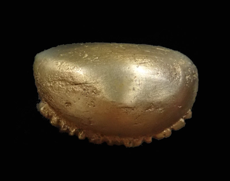 รูปหล่อพระพุทธชินราช หลวงพ่อแช่ม วัดสำนักตะกร้อ นครราชสีมา ปี 2541 (หลวงพ่อคูณปลุกเสก) เนื้อโลหะผสม (พร้อมบัตรรับรองพระแท้)