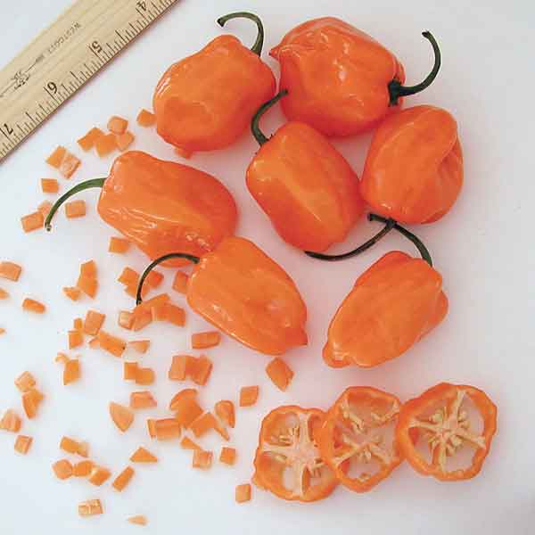 (Whole 1 Oz) พริกฮาบาเนโร่สีส้ม - Orange Habanero Pepper