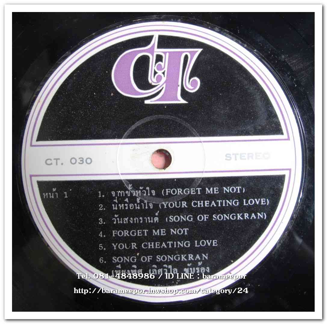 เพียงพิศ เลิศวิไล เพลงชุด 2 ภาษาชุดที่ 2 จากขั้วหัวใจ Forget me not