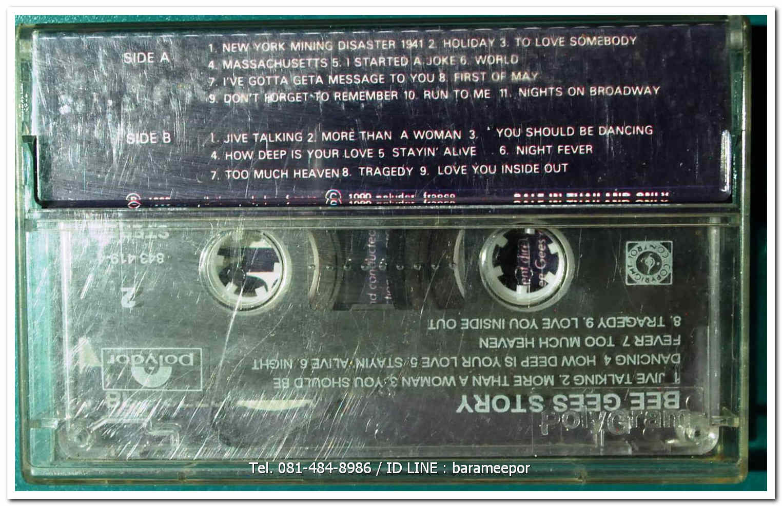 BEE GEES Story