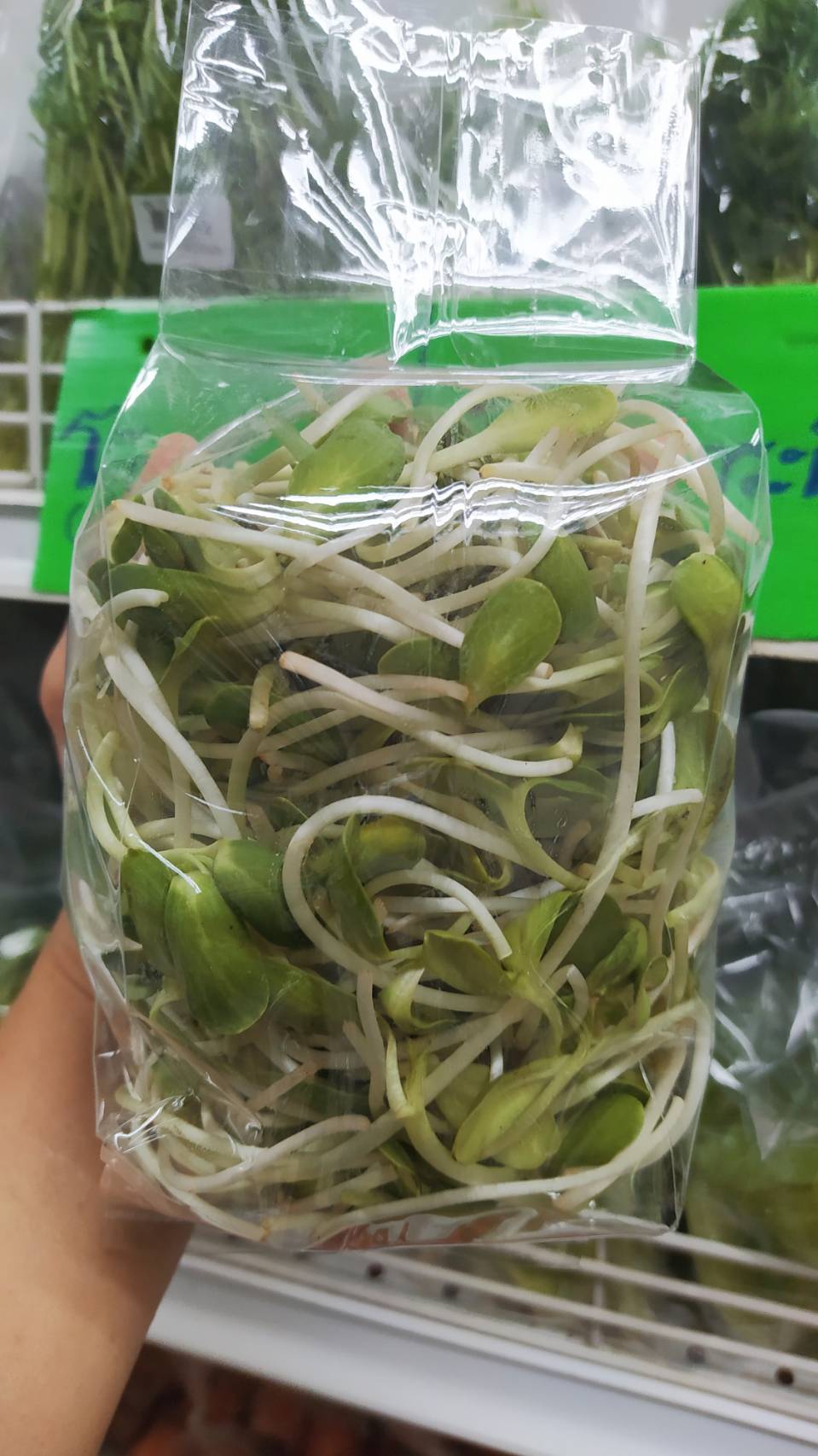 15-040-2100-0 ต้นอ่อนทานตะวัน 175ก. สขจ.